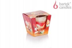 Bartek Candles Karácsonyi gyertya üvegben Karácsonyi Idő fahéj és narancs 115g (5901685036382)