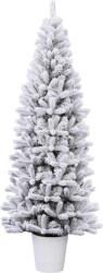 DekorTrend műfenyő kaspóban 120cm havas