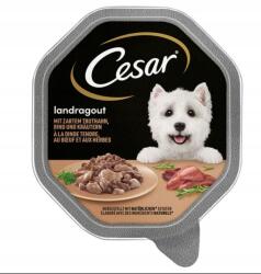 Cesar eledel nedves ízkeverék 0, 15 kg