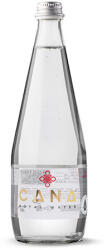 Cana Royal 0, 7l közepesen szénsavas ásványvíz üveg palackban