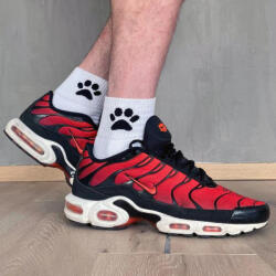 Sk8erboy Fehér Kiskutya Sk8erboy Zokni - Stílusos és kényelmes!