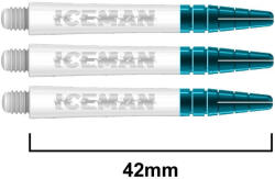 Red dragon darts Dart szár hosszú Red Dragon Gerwyn Price Nitro Ionic, fehér 42mm