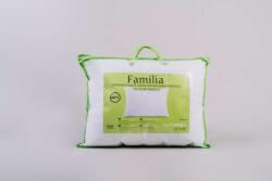  Família nagypárna 70x90 cm