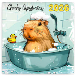 REALSYSTEM Falinaptár, lemeznaptár, 30x30 cm, 2026, Cheeky Capybaras (RSZ-6097-CK) - officetrade