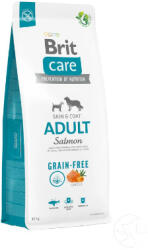 Brit BC Dog GF Adult Salmon & Potato 3 kg (B58841)