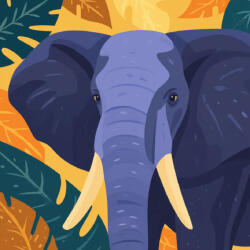 Alkotásutca Elefántportré - Számfestő készlet kereten 40x40