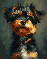 Oh Art! Set pictura pe numere, cu sasiu, Yorkshire Terrier, 40x50 cm (ANG847)