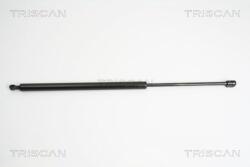 TRISCAN Amortizor portbagaj TRISCAN 8710 10210 (8710 10210)