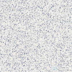 Marazzi Frammento Macro Azzuro R10 Rett. 120x120 cm-es padlólap, MMZY (MMZY)