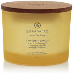 Chesapeake Bay Strength + Energy illatgyertya 3 kanóccal 312 g