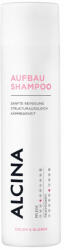 ALCINA Șampon pentru păr vopsit si blond(ColorandBlonde Shampoo) 500 ml 250 ml