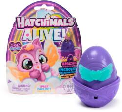 Spin Master Neon Rainbow egy csomag (6072752)