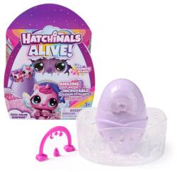 Spin Master csomag tele meglepetésekkel (6069778)