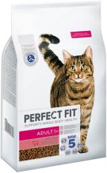 Perfect Fit 2x7kg Perfect Fit Active 1+ marha száraz macskatáp