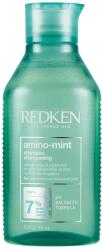Redken Amino Mint sampon, Zsíros fejbőr pH-értékének kiegyensúlyozására és a hosszak hidratálására, 300ml
