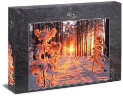 Ulmer 1000 db-os puzzle - Winter Sun (2439) (2439)
