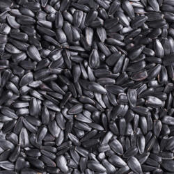  Napraforgó fekete téli madáreleség 1 kg