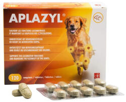 Prodivet Supliment nutritiv pentru sustinerea articulatiilor la caini si pisici, Aplazyl, 120 tablete (C3054)