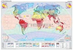 Stiefel SYNERGIA - Földrajzi Falitérkép DUO - Éghajlat és Növényzet - Iskolai (73207)