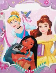  DISNEY Hercegnők Ajándék tasak, zacskó csomag/10db