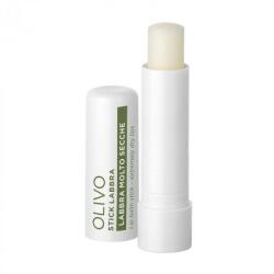  BottegaVerde Olivo ajakápoló stick Tenuta Massaini 5ml