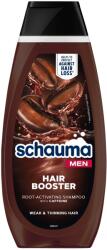 Schauma Men Hair Booster 400 ml