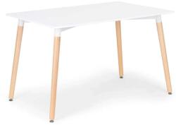 ModernHOME Modern asztal étkezőbe nappali konyhába 120x80 cm (DT04)