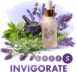 Vectair Systems SensaMist Invigorate Illatolaj - 1L (SM-1L-INVIGORATE)