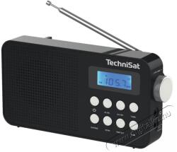 TechniSat FM Classic 110, black