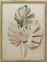  ARANY MONSTERA FESTMÉNY VÁSZONRA KERET NÉLKÜL PREMIUM VÁSZON 50x70 CM