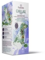OrganoVet Chillax Syrup - supliment alimentar pentru susținerea sistemului nervos pentru câini și pisici 250 ml