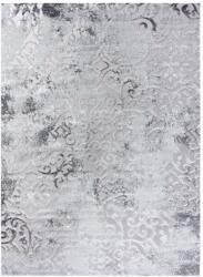  Szőnyeg TREX ORNAMENT szürke 120x170