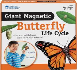 Learning Resources Set magnetic Learning Resources - Ciclul de viață al unui fluture (LER6043)