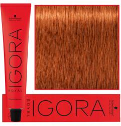 Schwarzkopf Igora Royal 60ml, tartós hajfesték, 7-77 (4045787200201)