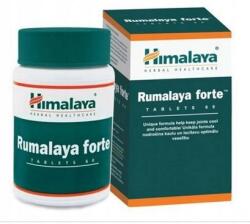 Himalaya Rumalaya forte erős ízületek és csontok 60 tabl (8901138511777)