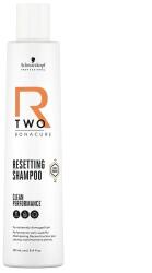 Schwarzkopf R-two Resetting Sampon 250 ml (4045787949636)