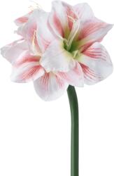 Norand Művirág amarillisz 60cm fehér-piros cirmos