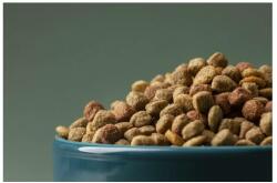 Cattos Cat - MARHA - 10KG