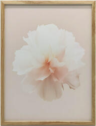  FAKERETES PLAKÁT FALRA SÖTÉTBARNA PASTELLVIRÁG 70x100