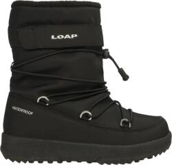 LOAP Snak (kbj24374-v11v)