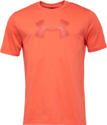 Under Armour Reflective Big Logo (1390207-847)