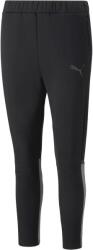 PUMA Teamcup Casuals Pants (65842103)