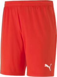 PUMA Team Goal 23 Knit Shorts (70426201)