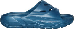 AQUOS Arena (aqm2564)