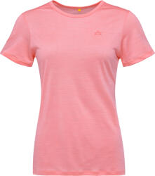 Devold Active Tee (go 293 291 C 070a)