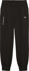 PUMA Bmw M Motorsport Essentials+ Pants Fleece (62749901)