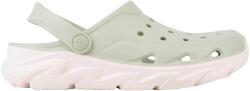 Coqui Cody (6432-100-8180)