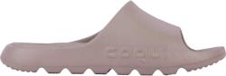Coqui Lou (7041-104-2900)