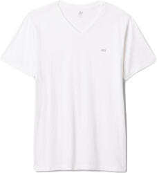 GAP V-frch Everyday (502020-02)