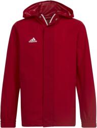 Adidas Ent22 Aw Jkty (hg6300)